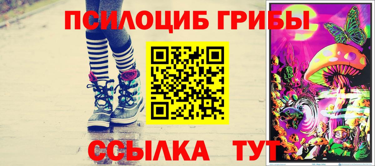 Галлюциногенные грибы мухоморы  Псилоцибиновые грибы Cubensis  купить наркотики цена  Вход с VPN  Бирск 